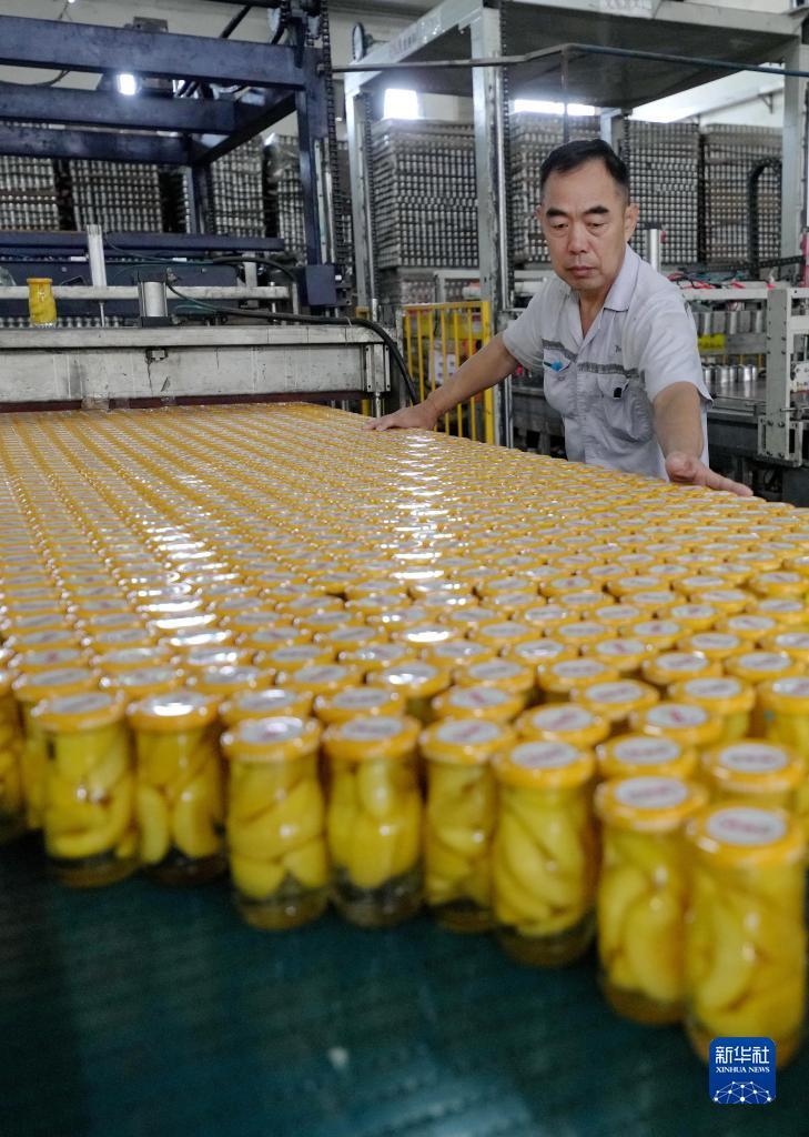 彩金官网游戏